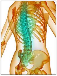Joint Pain Treatment in Pune | Spine Problem Treatment in Pune